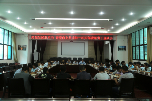 跨越發(fā)展敢擔(dān)當(dāng)，青春向上共成長—公司召開2017年青年骨干座談會