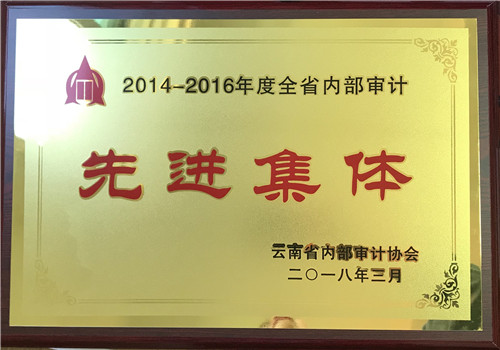 公司審計部和公司職工獲省內(nèi)部審計協(xié)會表彰
