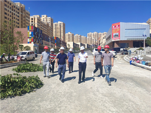 陳定華到鎮(zhèn)雄易地扶貧搬遷項目呢嚕坪大橋調(diào)研