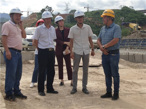 陳定華、胡云紅調(diào)研元蔓高速（玉溪段）一分部