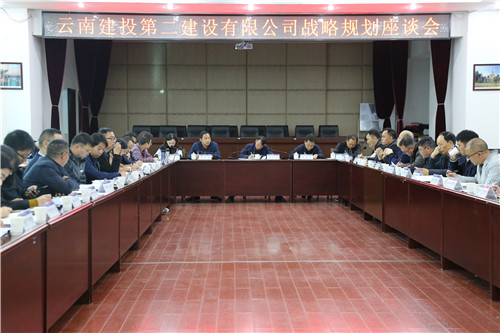 【公司要聞】公司召開(kāi)2020年戰(zhàn)略規(guī)劃座談會(huì)