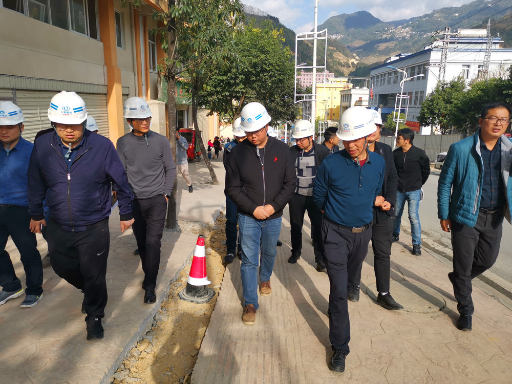 【調(diào)研檢查】陳定華一行調(diào)研檢查金平片區(qū)項(xiàng)目