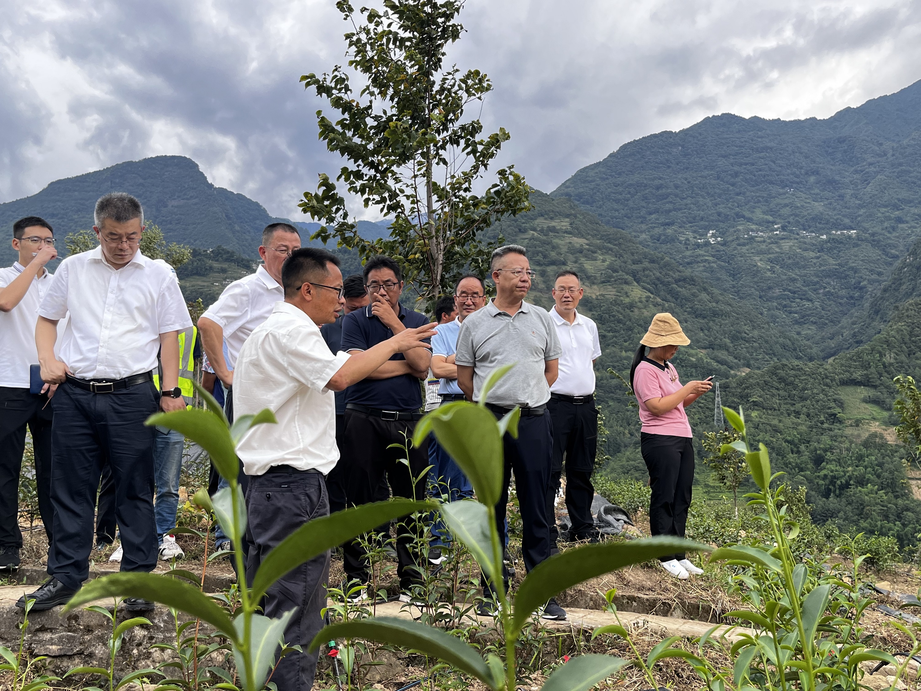 【調(diào)研檢查】怒江州州委副書(shū)記、州長(zhǎng)李文輝到鹿馬登鄉(xiāng)小康村建設(shè)項(xiàng)目調(diào)研指導(dǎo)工作